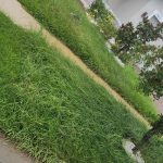 WhatsApp Image 2026-01-26 at 20.28.07 (4)